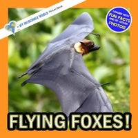 Flying Foxes! A My Incredible World Picture Book for Children
