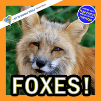 Foxes! A My Incredible World Picture Book for Children