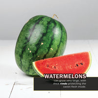 Fruit! A My Incredible World Picture Book for Children