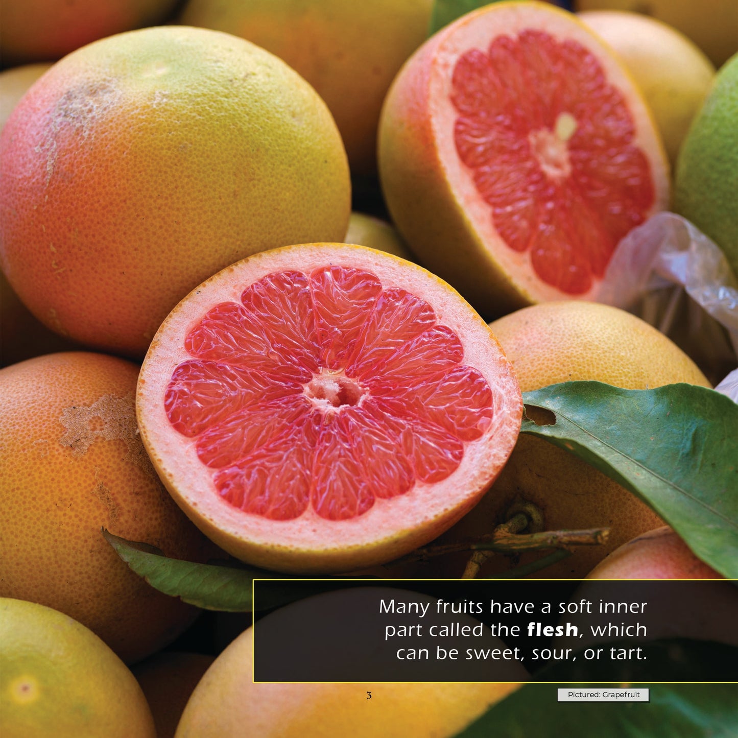 Fruit! A My Incredible World Picture Book for Children