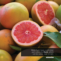 Fruit! A My Incredible World Picture Book for Children