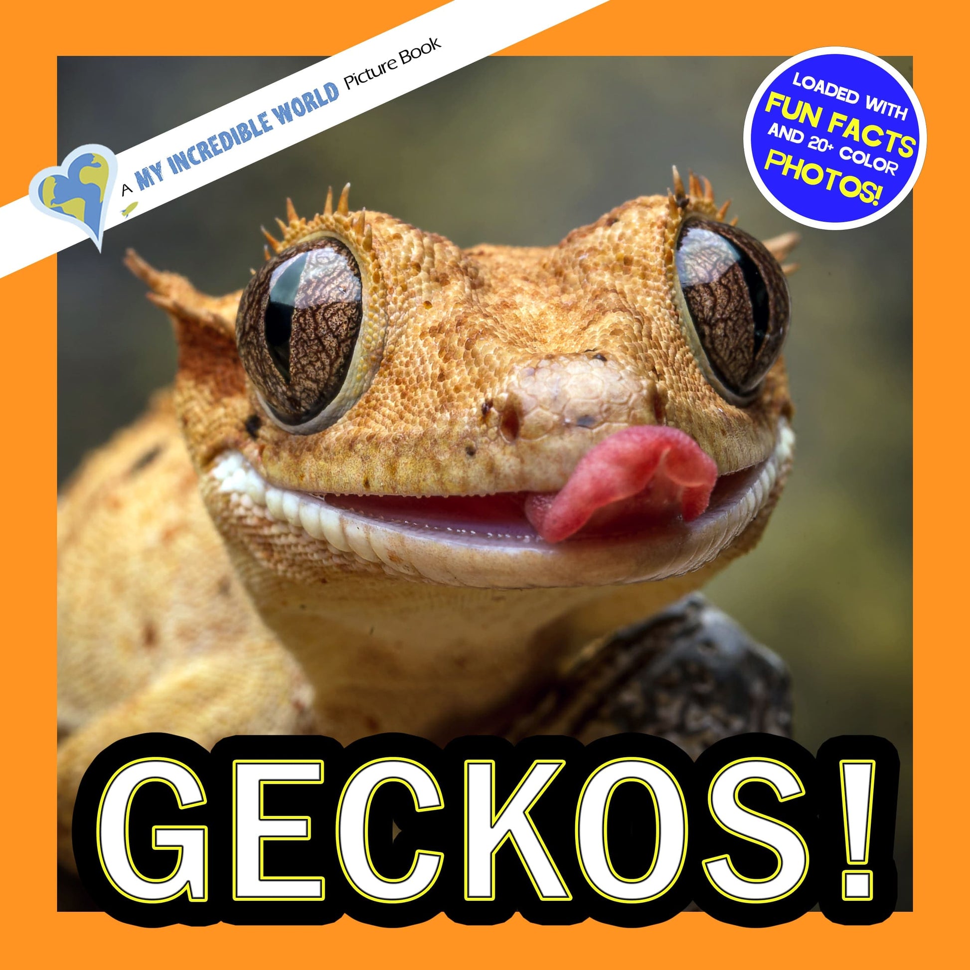 Geckos! A My Incredible World Picture Book for Children