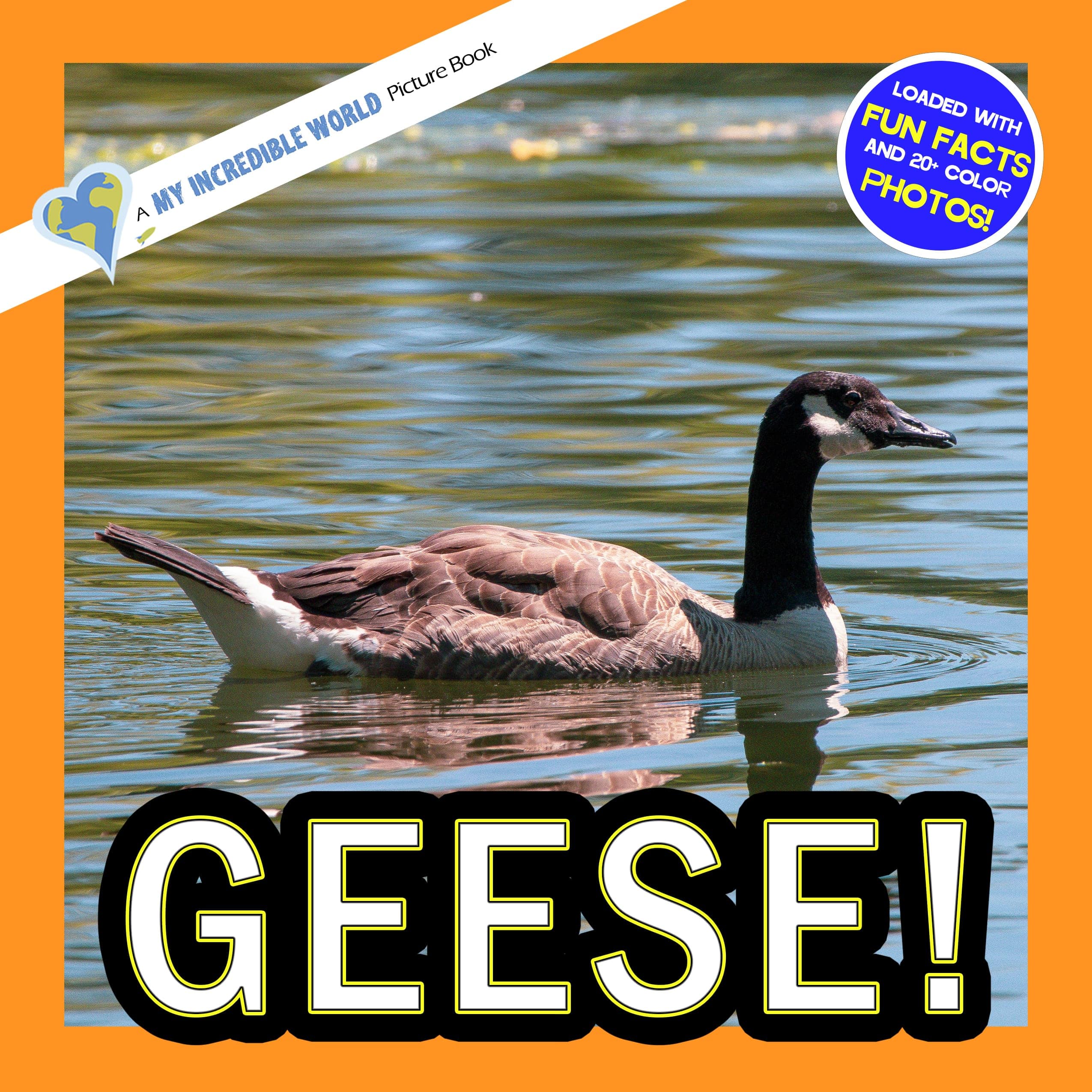 Geese! A My Incredible World Picture Book for Children