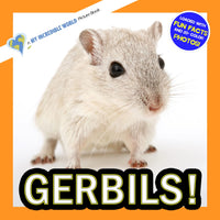 Gerbils! A My Incredible World Picture Book for Children