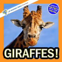 Giraffes! A My Incredible World Picture Book for Children