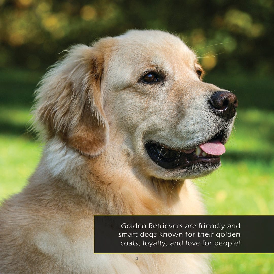 Golden Retrievers! A My Incredible World Picture Book for Children