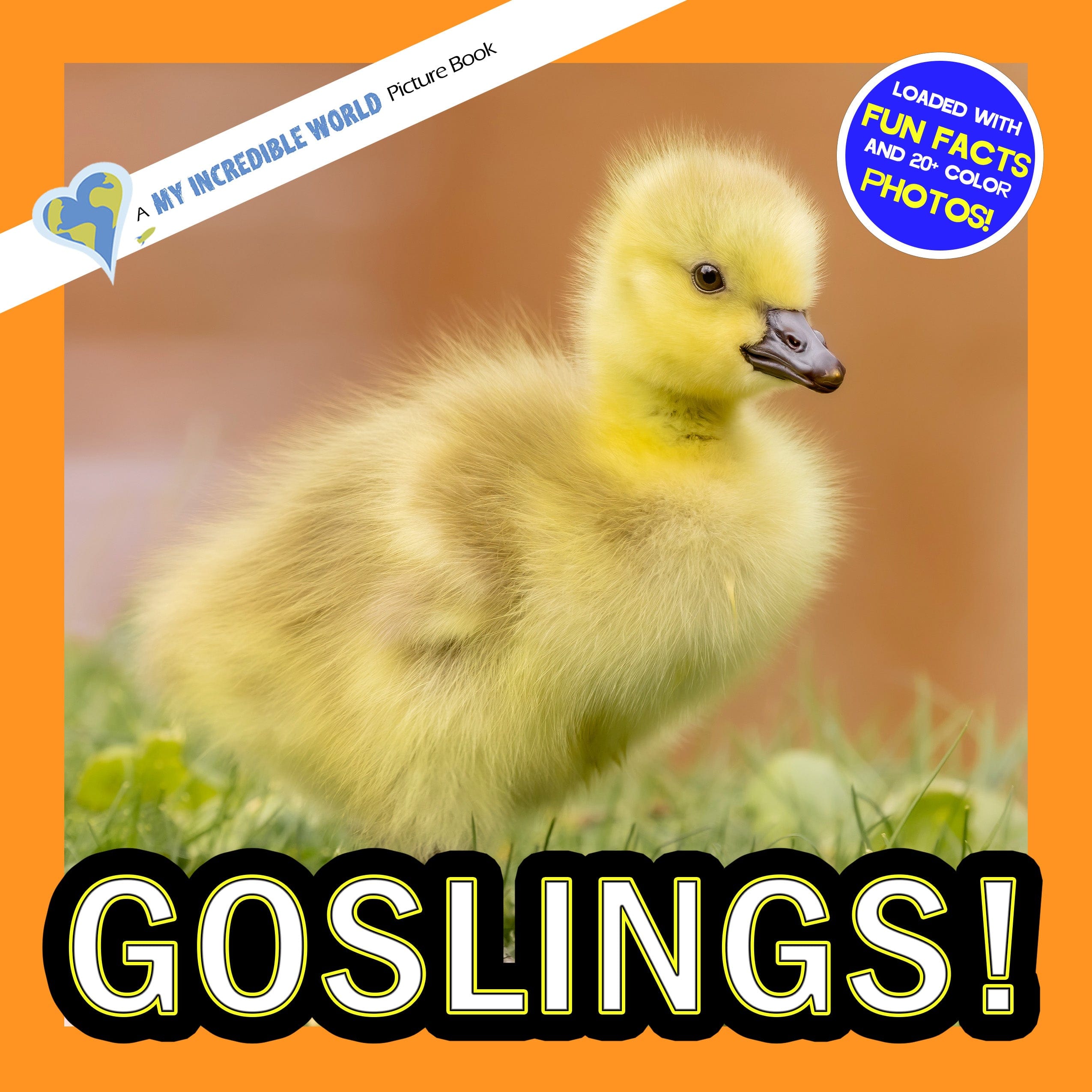 Goslings! A My Incredible World Picture Book for Children
