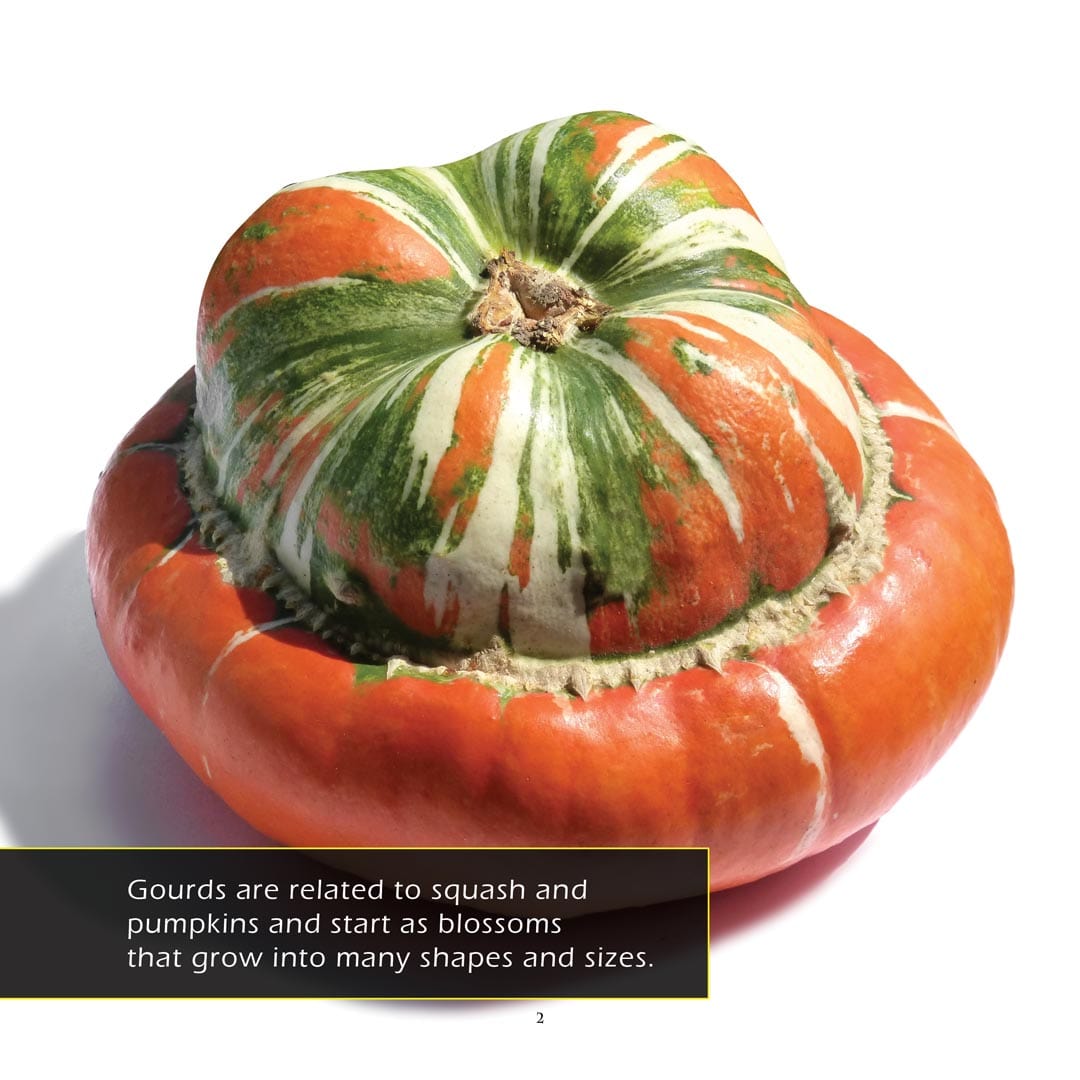 Gourds! A My Incredible World Picture Book for Children