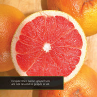Grapefruits! A My Incredible World Picture Book for Children