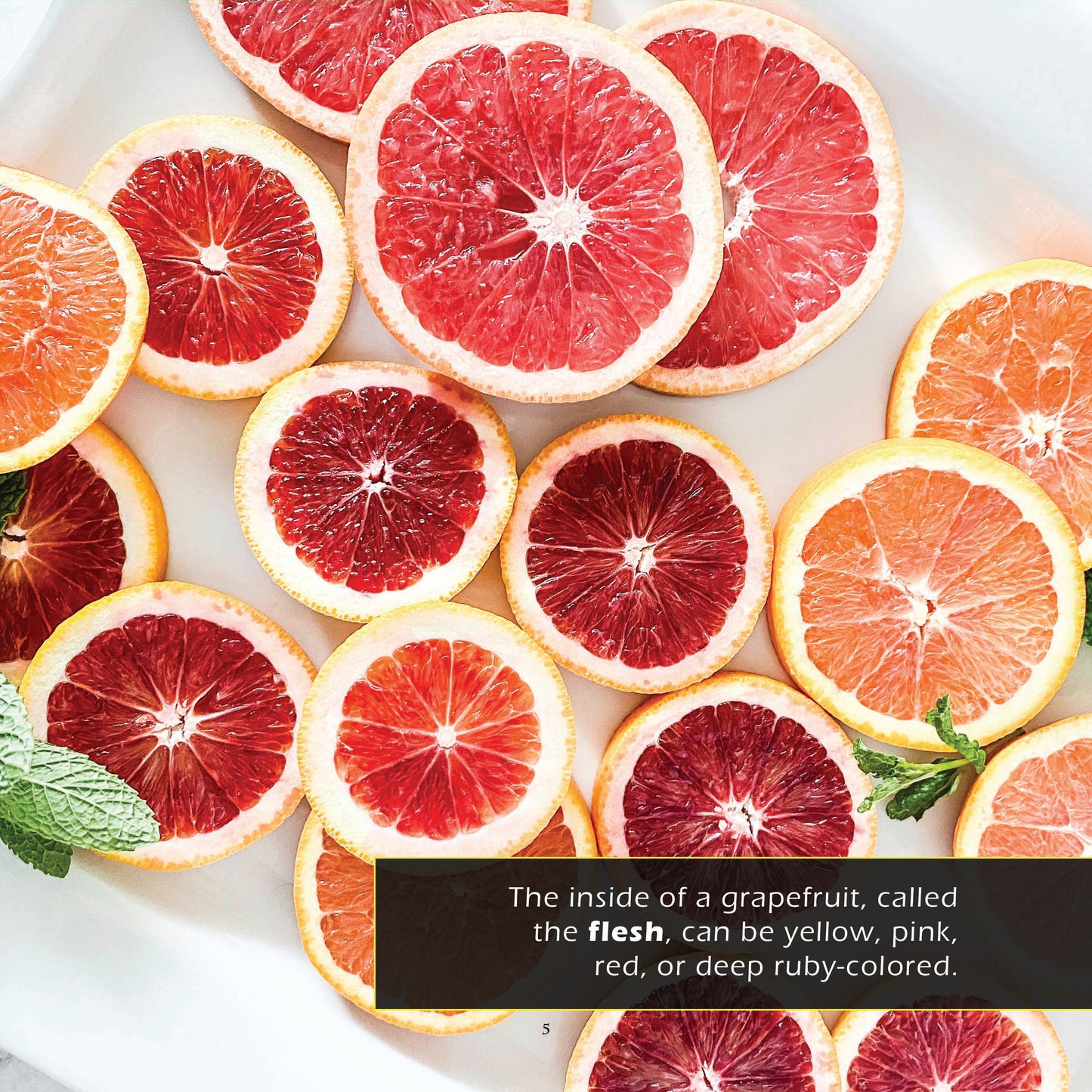 Grapefruits! A My Incredible World Picture Book for Children
