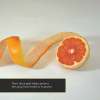Grapefruits! A My Incredible World Picture Book for Children