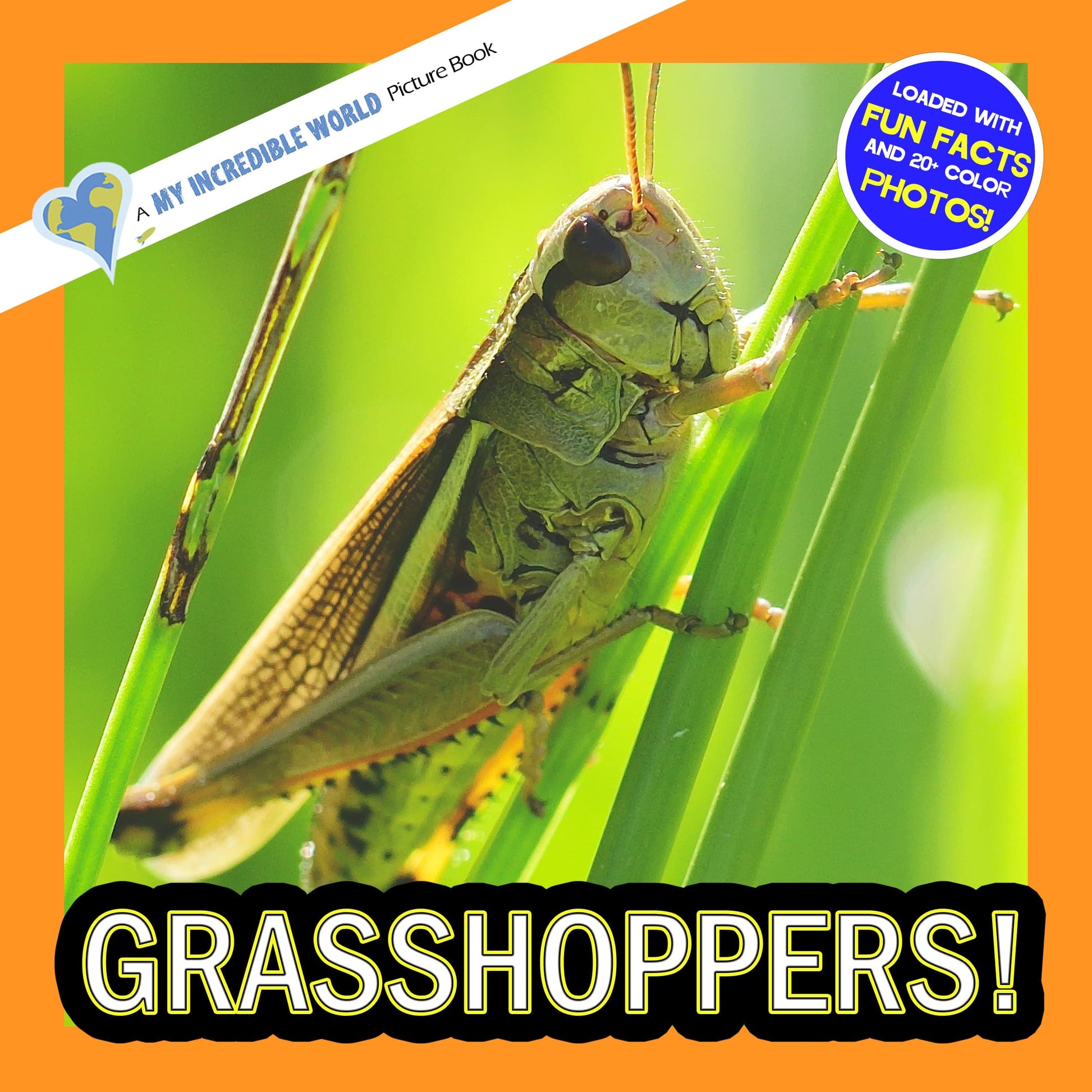 Grasshoppers! A My Incredible World Picture Book for Children