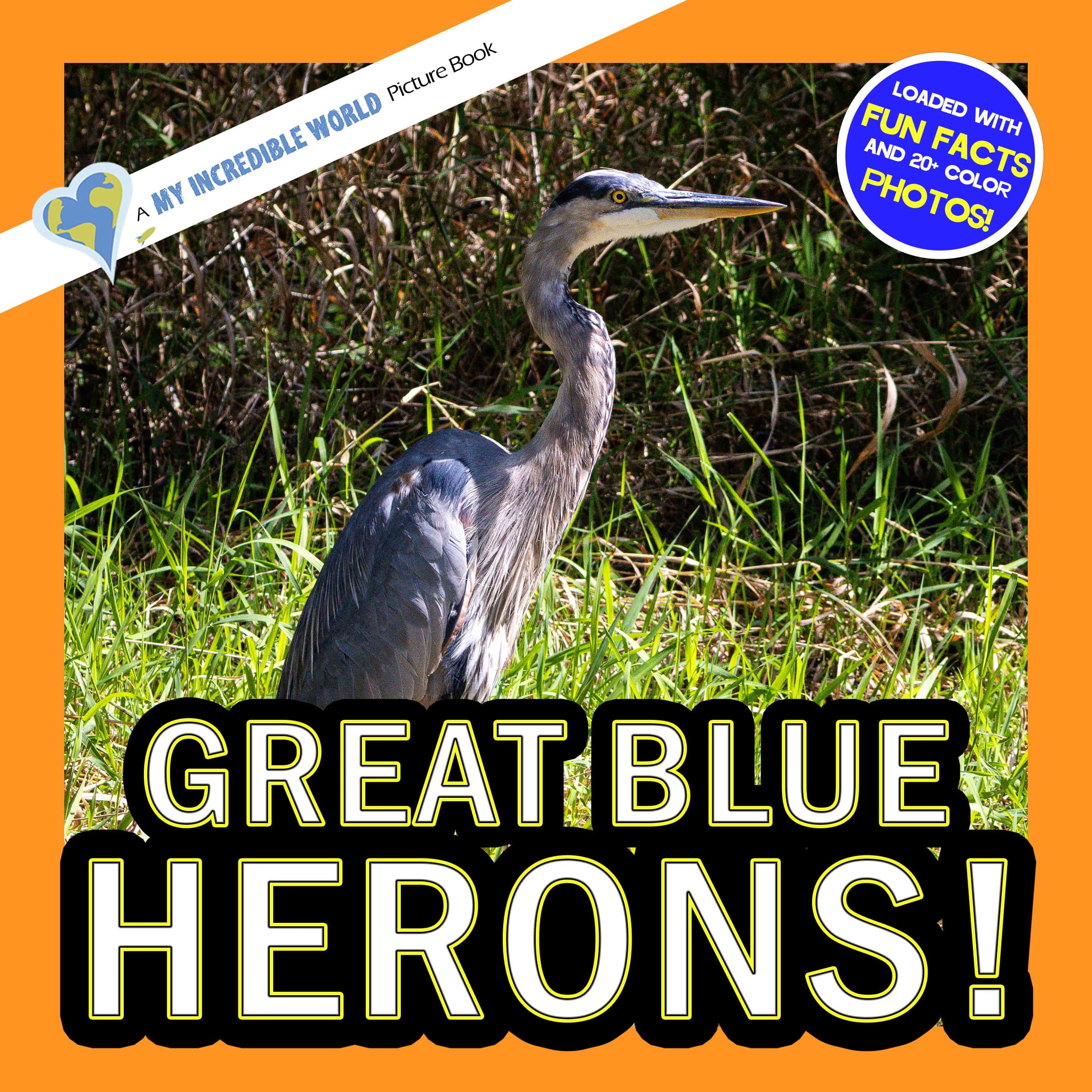 Great Blue Herons! A My Incredible World Picture Book for Children