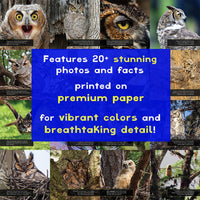 Great Horned Owls! A My Incredible World Picture Book for Children