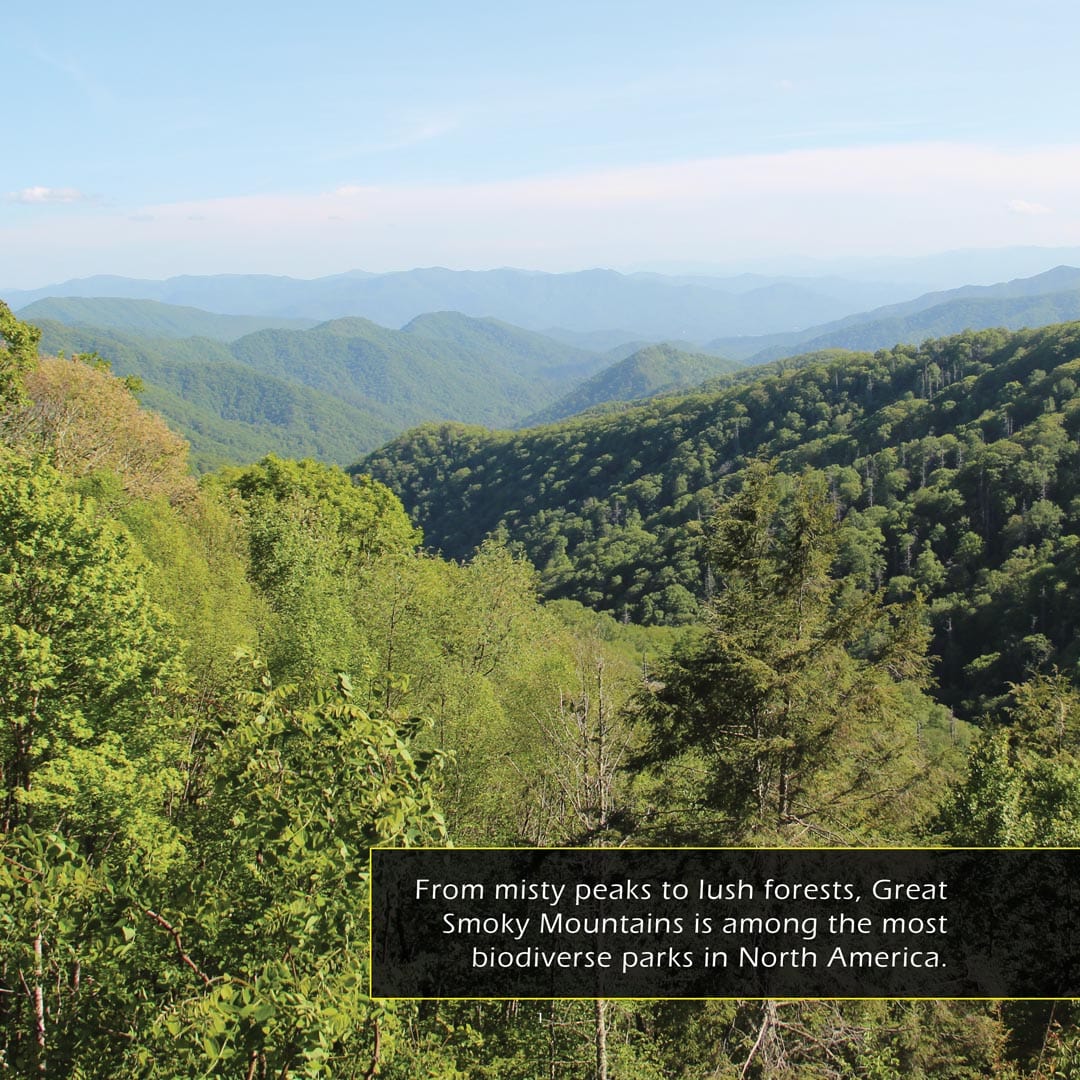 Great Smoky Mountains National Park! A My Incredible World Picture Book for Children