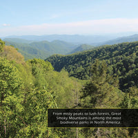 Great Smoky Mountains National Park! A My Incredible World Picture Book for Children