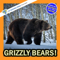 Grizzly Bears! A My Incredible World Picture Book for Children