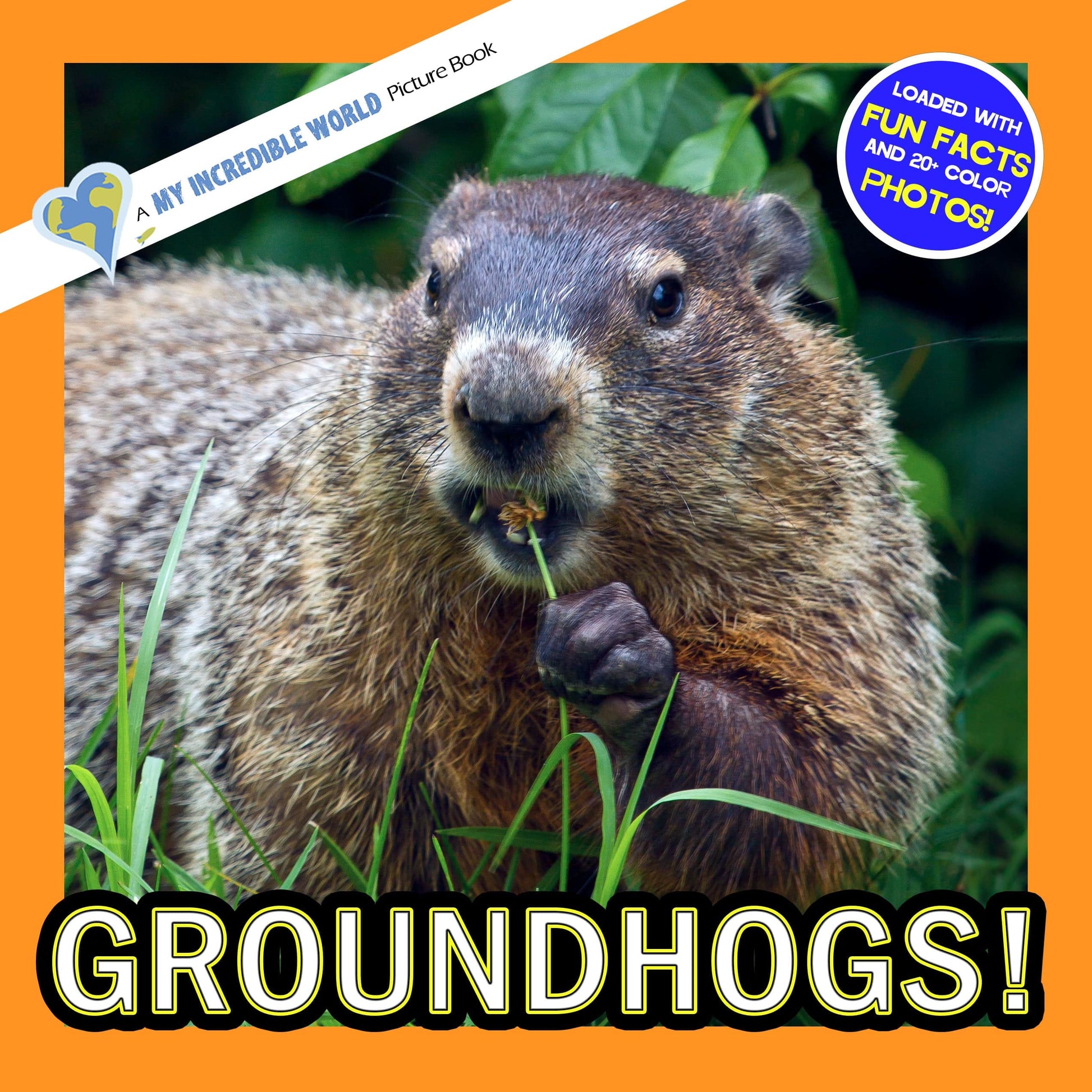 Groundhogs! A My Incredible World Picture Book for Children