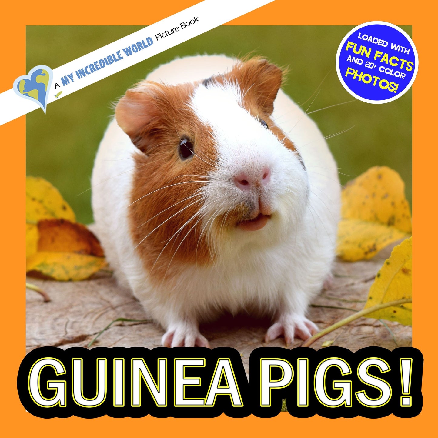 Guinea Pigs! A My Incredible World Picture Book for Children