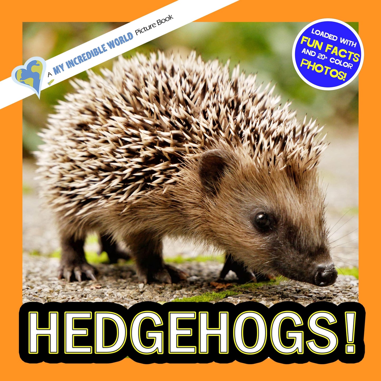 Hedgehogs! A My Incredible World Picture Book for Children