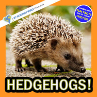 Hedgehogs! A My Incredible World Picture Book for Children