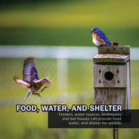Helping the Earth! A My Incredible World Picture Book for Children