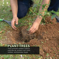 Helping the Earth! A My Incredible World Picture Book for Children