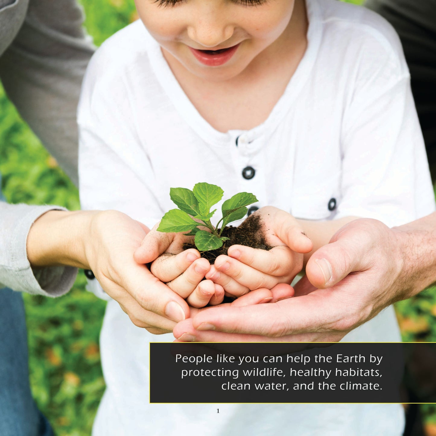 Helping the Earth! A My Incredible World Picture Book for Children