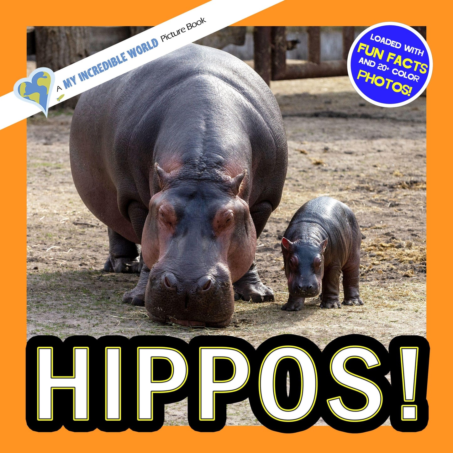 Hippos! A My Incredible World Picture Book for Children