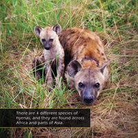 Hyenas! A My Incredible World Picture Book for Children