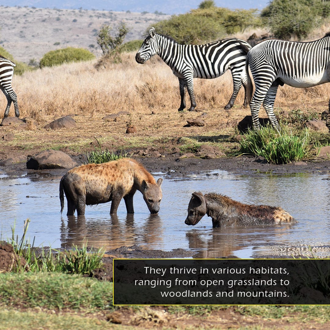 Hyenas! A My Incredible World Picture Book for Children