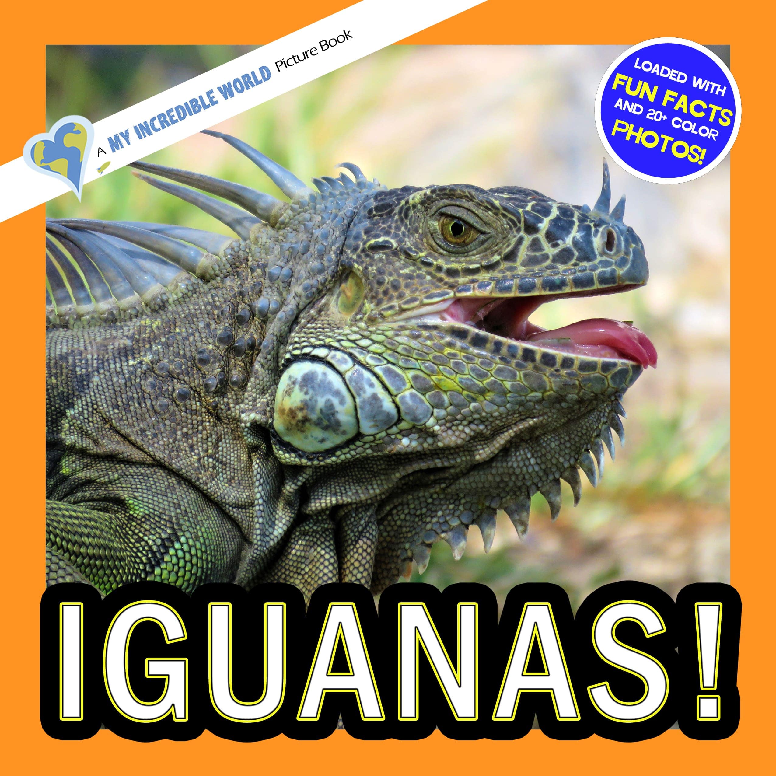 Iguanas! A My Incredible World Picture Book for Children