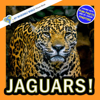 Jaguars! A My Incredible World Picture Book for Children