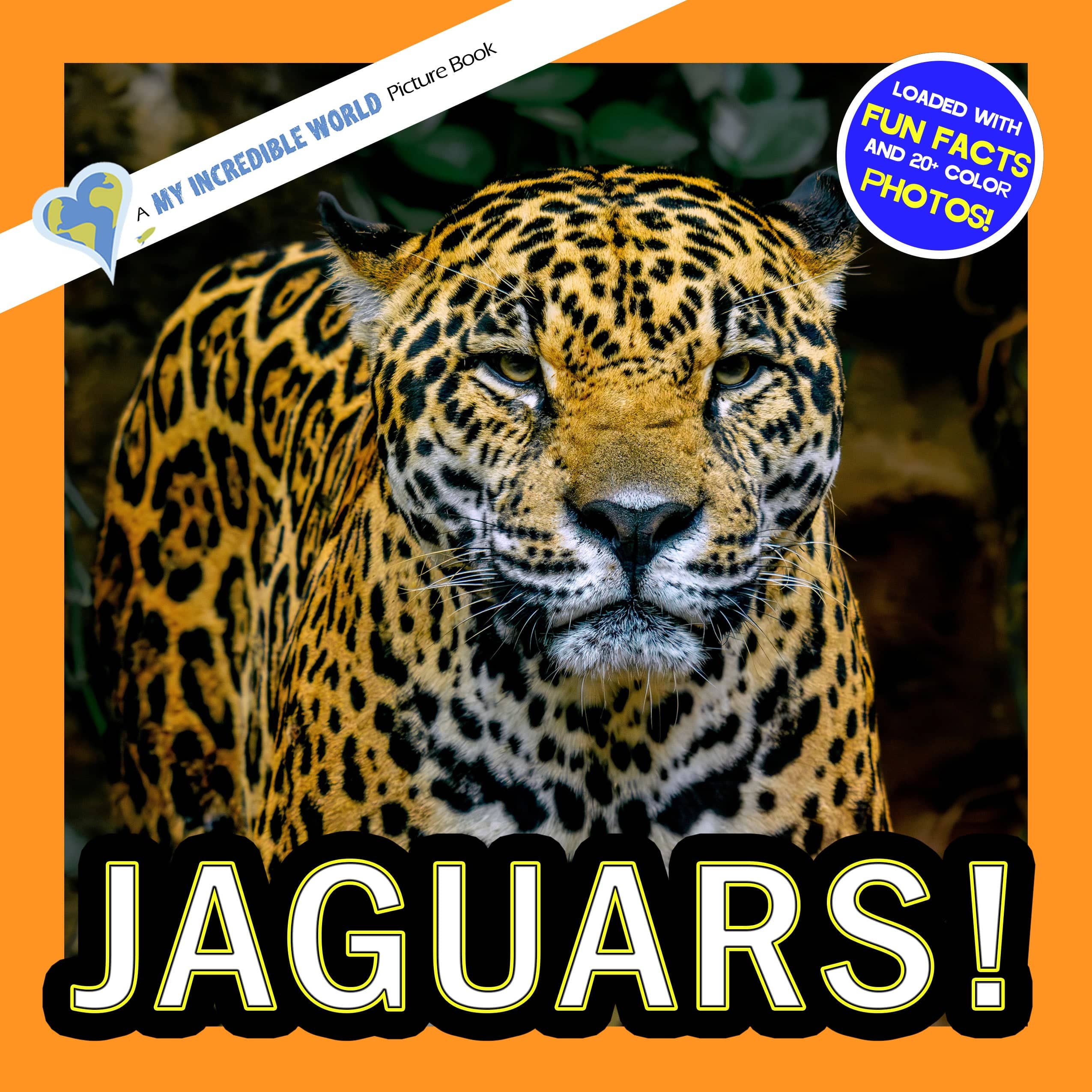Jaguars! A My Incredible World Picture Book for Children