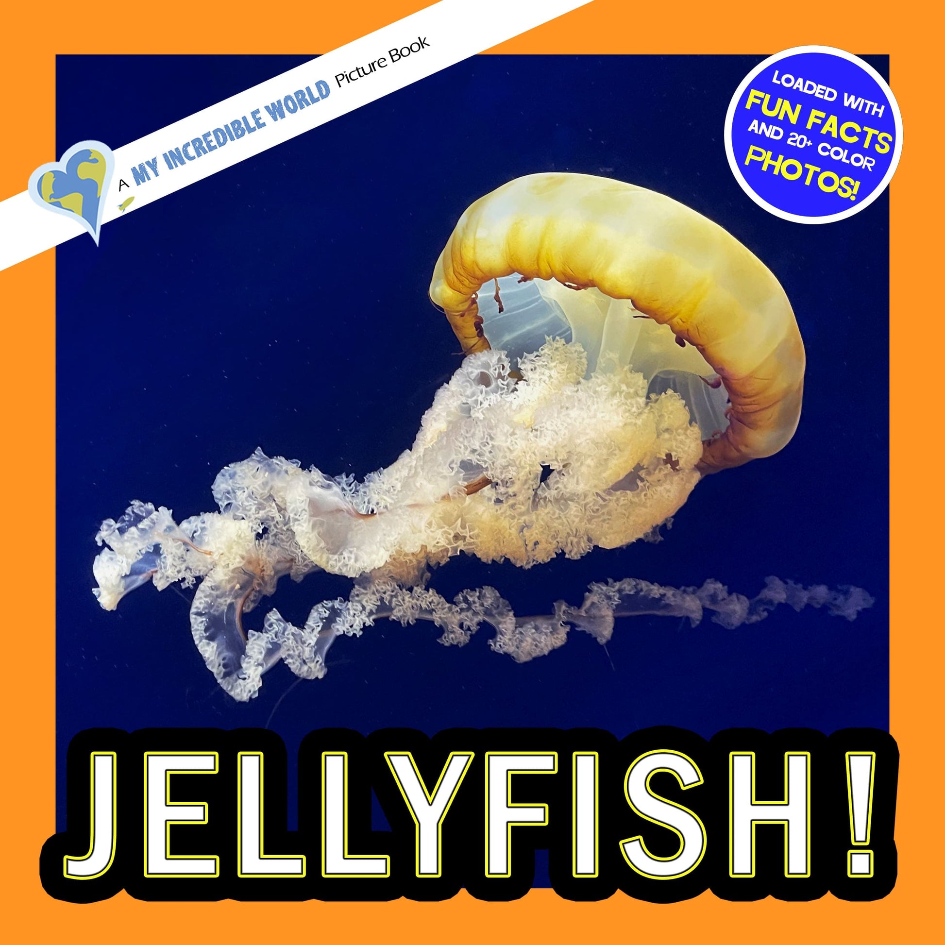 Jellyfish! A My Incredible World Picture Book for Children