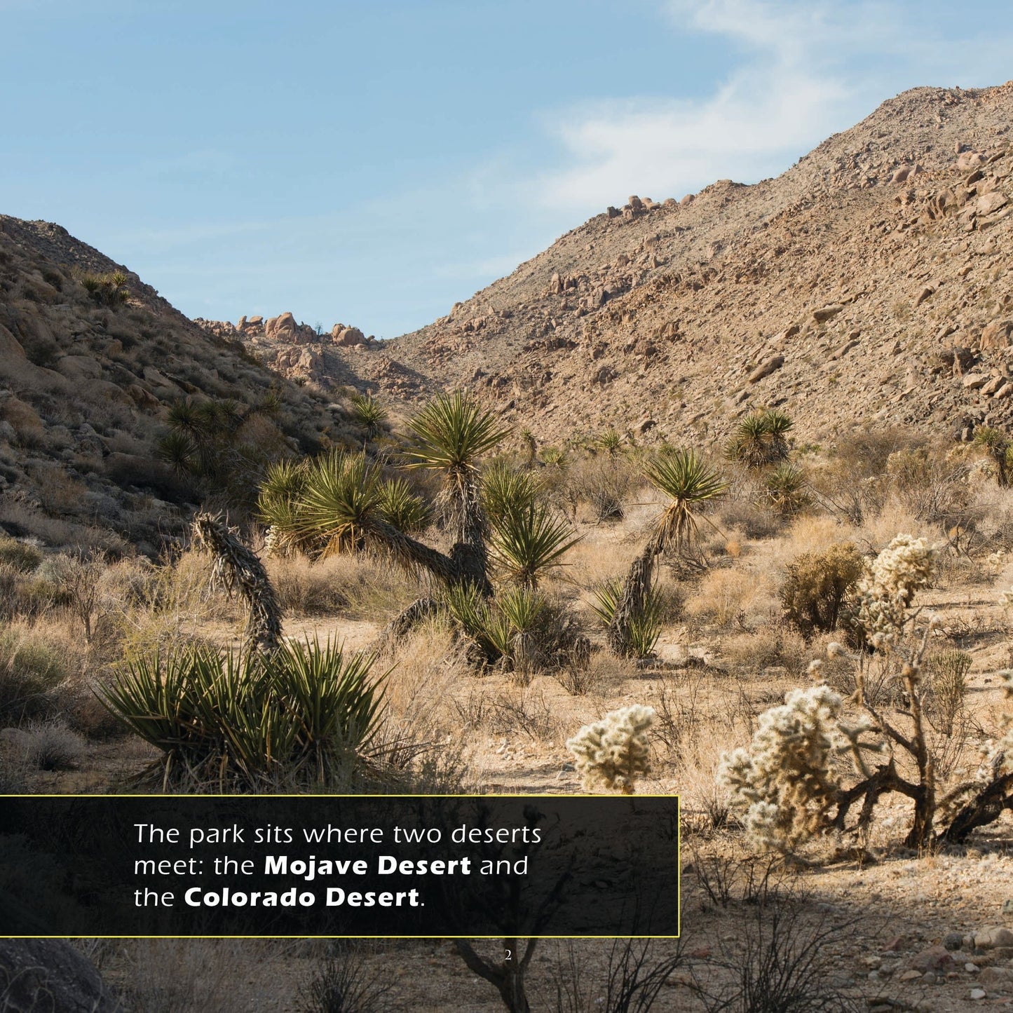 Joshua Tree National Park! A My Incredible World Picture Book for Children