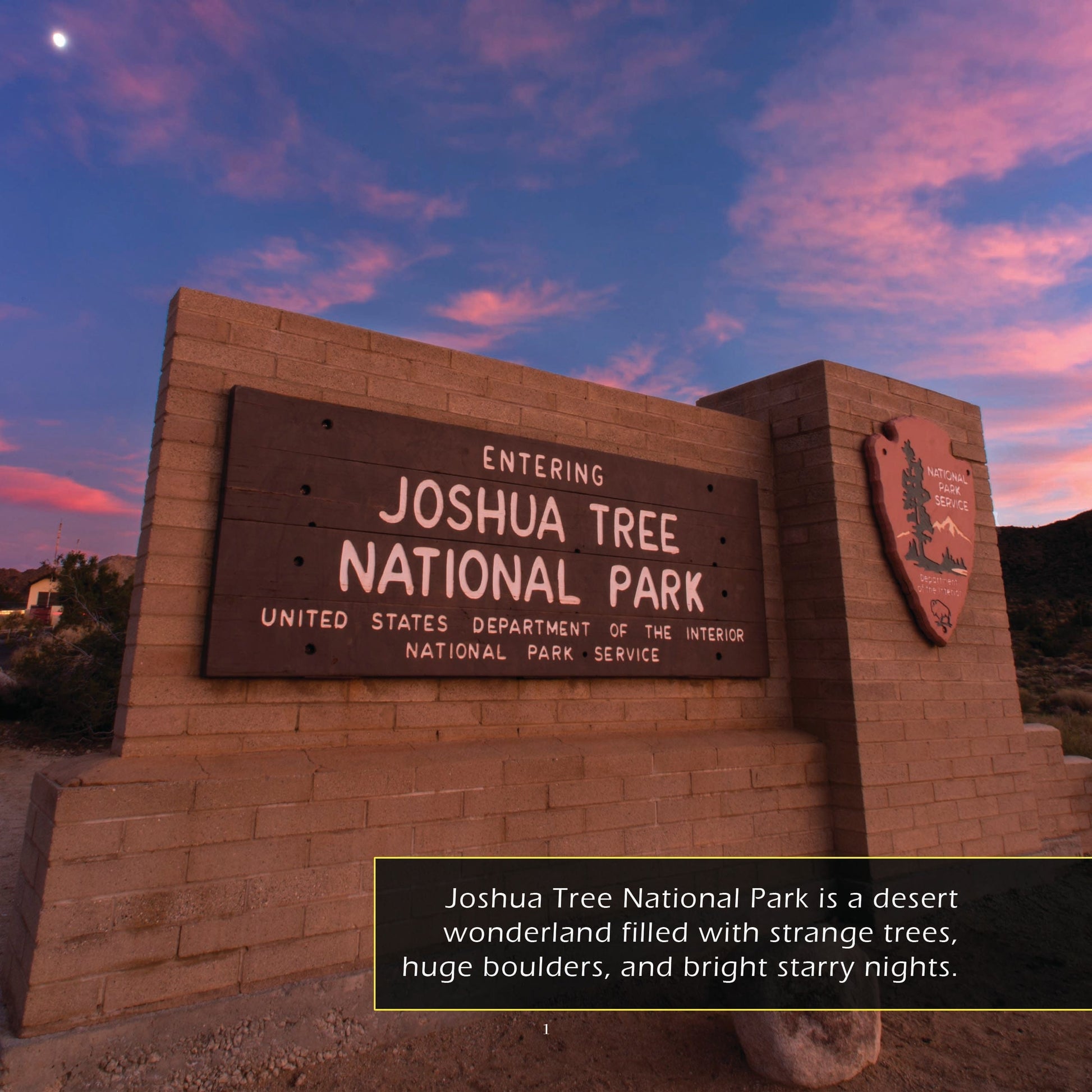 Joshua Tree National Park! A My Incredible World Picture Book for Children