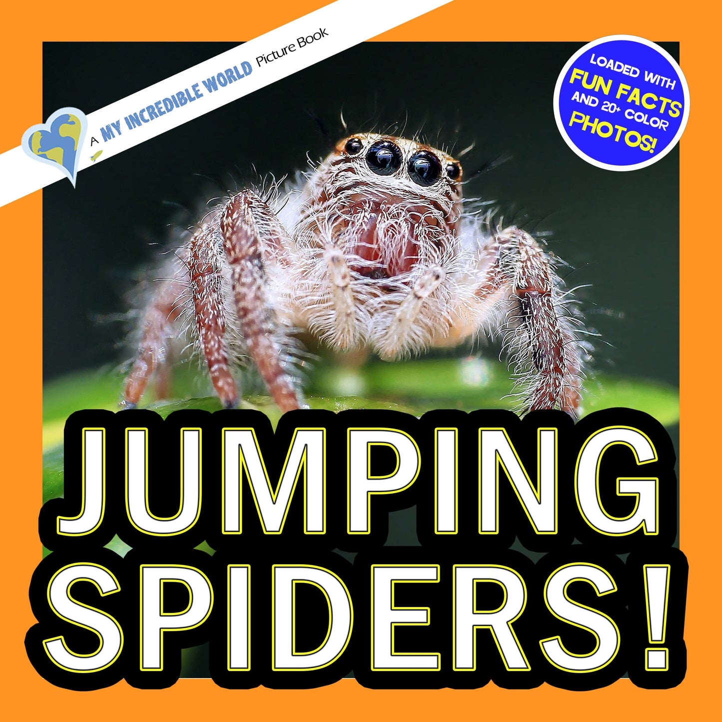 Jumping Spiders! A My Incredible World Picture Book for Children