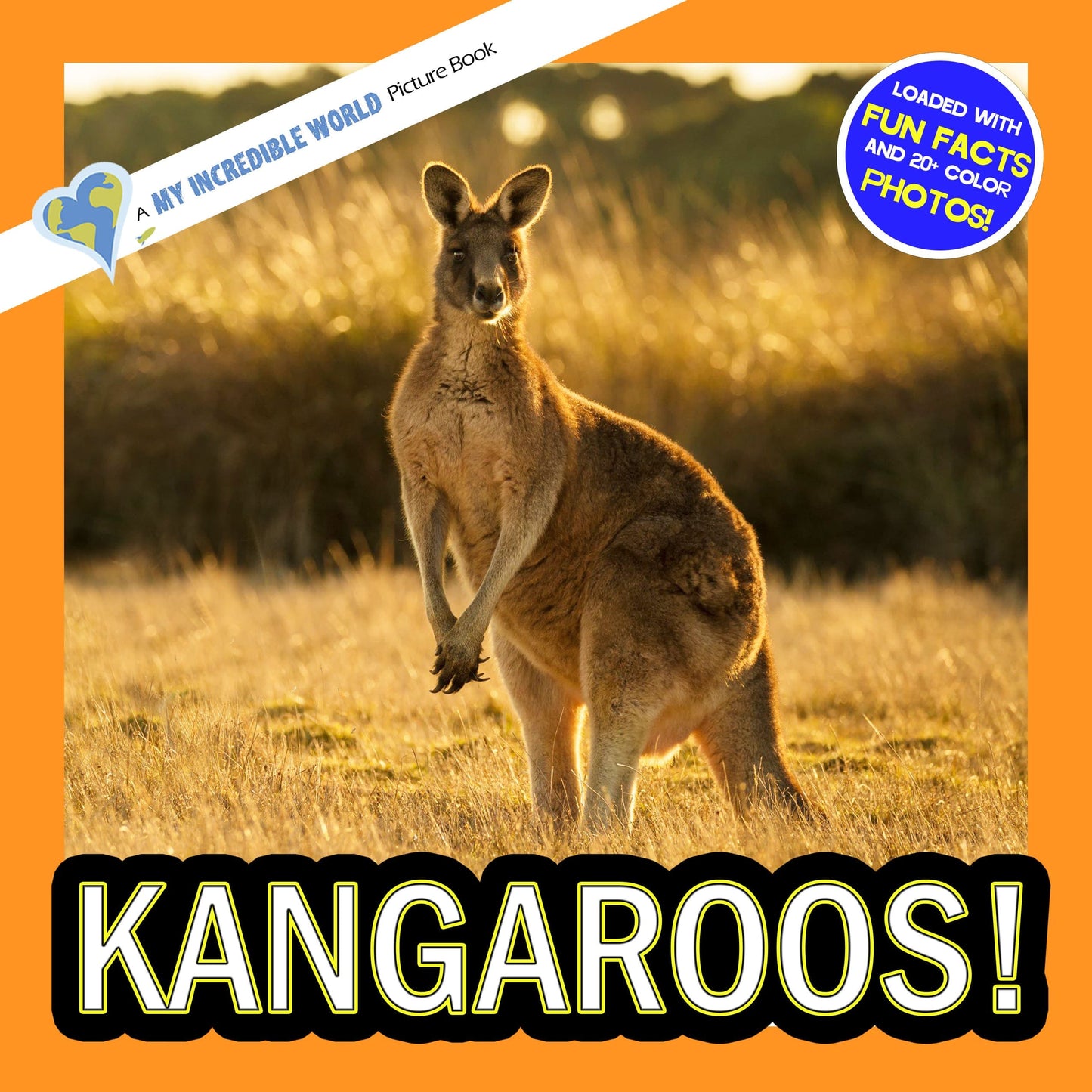 Kangaroos! A My Incredible World Picture Book for Children