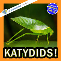 Katydids! A My Incredible World Picture Book for Children