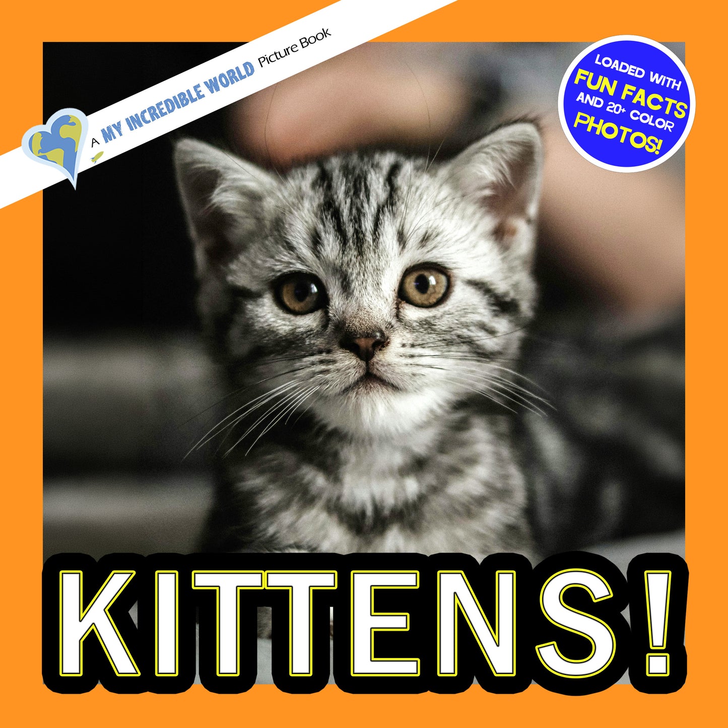 Kittens! A My Incredible World Picture Book for Children