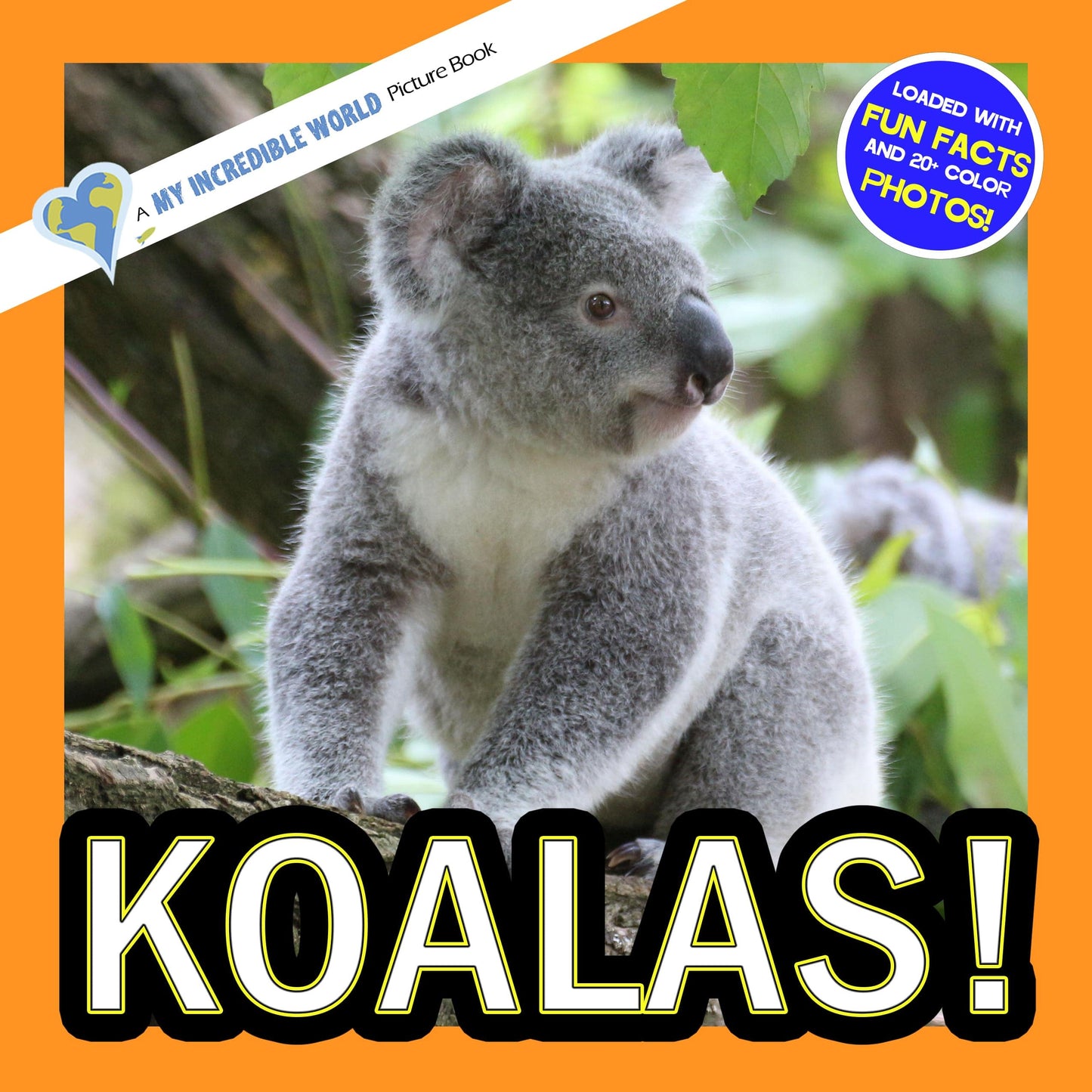 Koalas! A My Incredible World Picture Book for Children