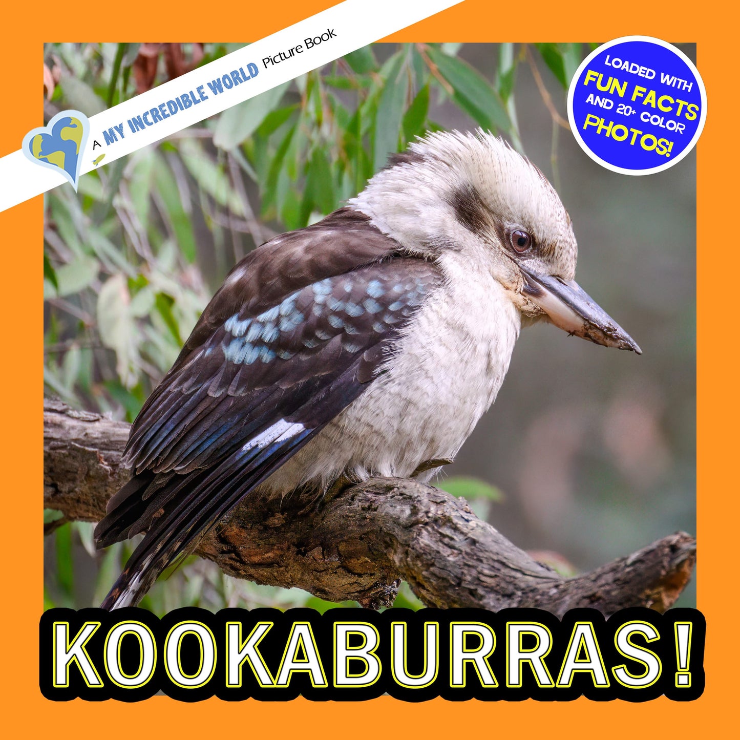 Kookaburras! A My Incredible World Picture Book for Children