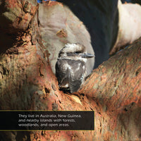 Kookaburras! A My Incredible World Picture Book for Children
