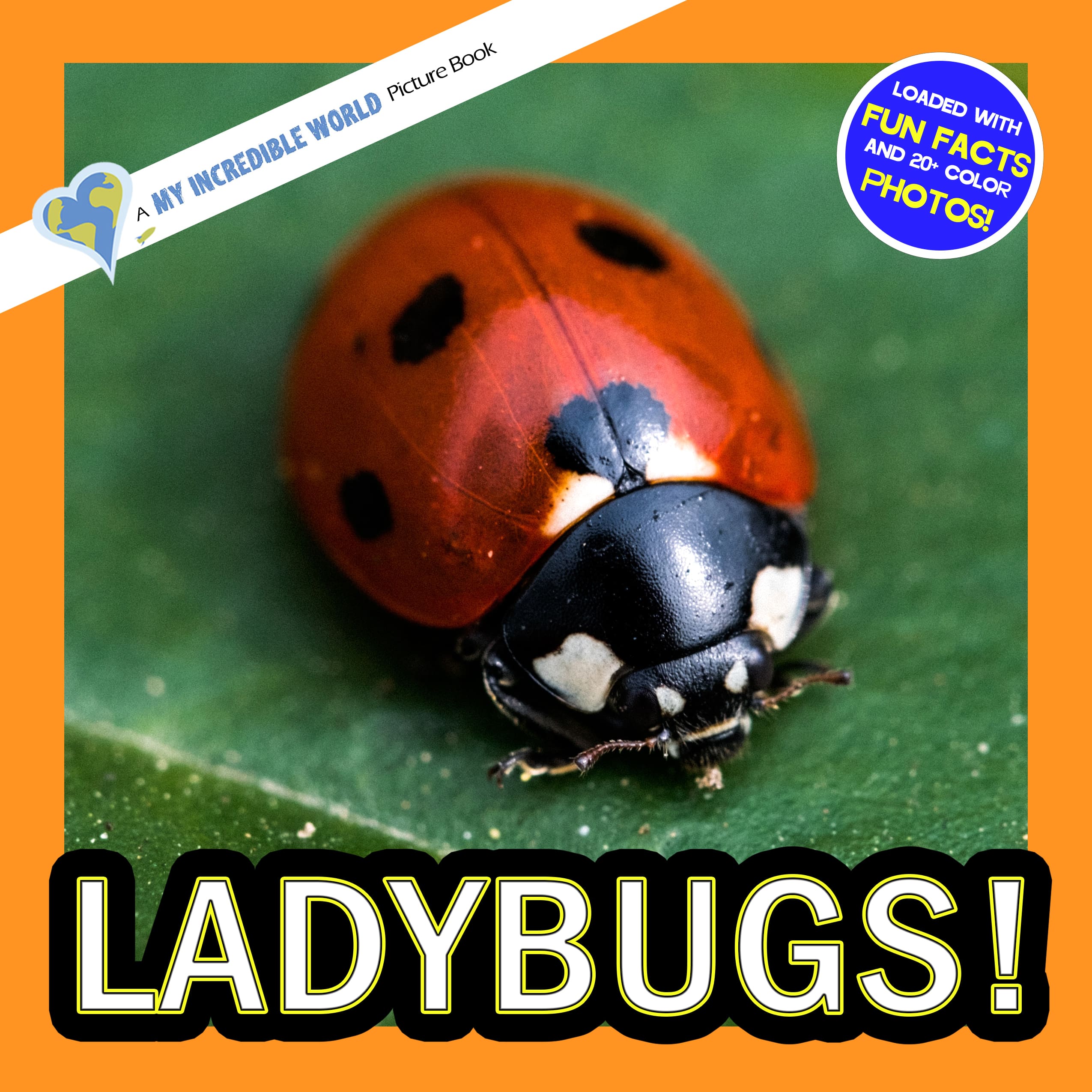 Ladybugs! A My Incredible World Picture Book for Children