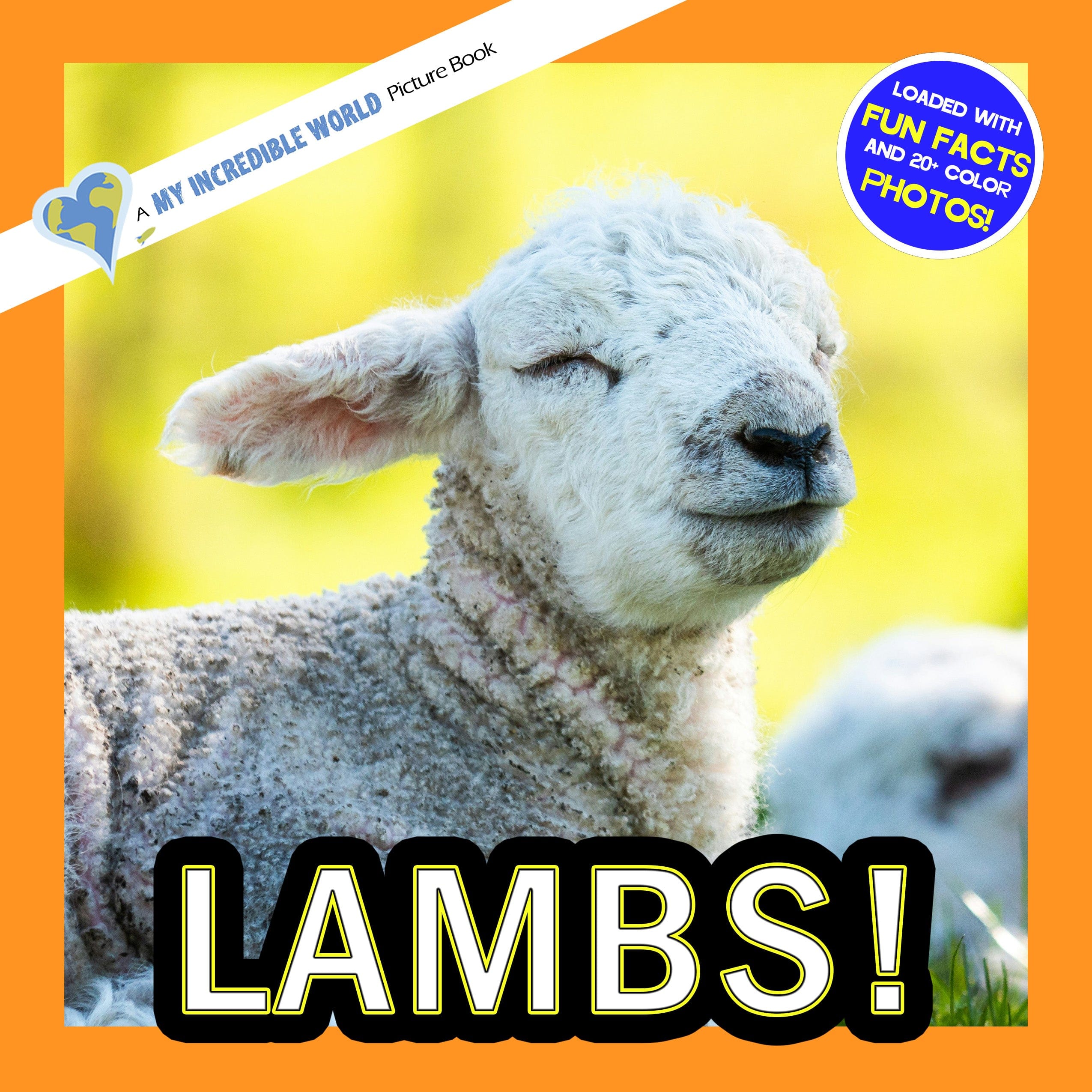 Lambs! A My Incredible World Picture Book for Children