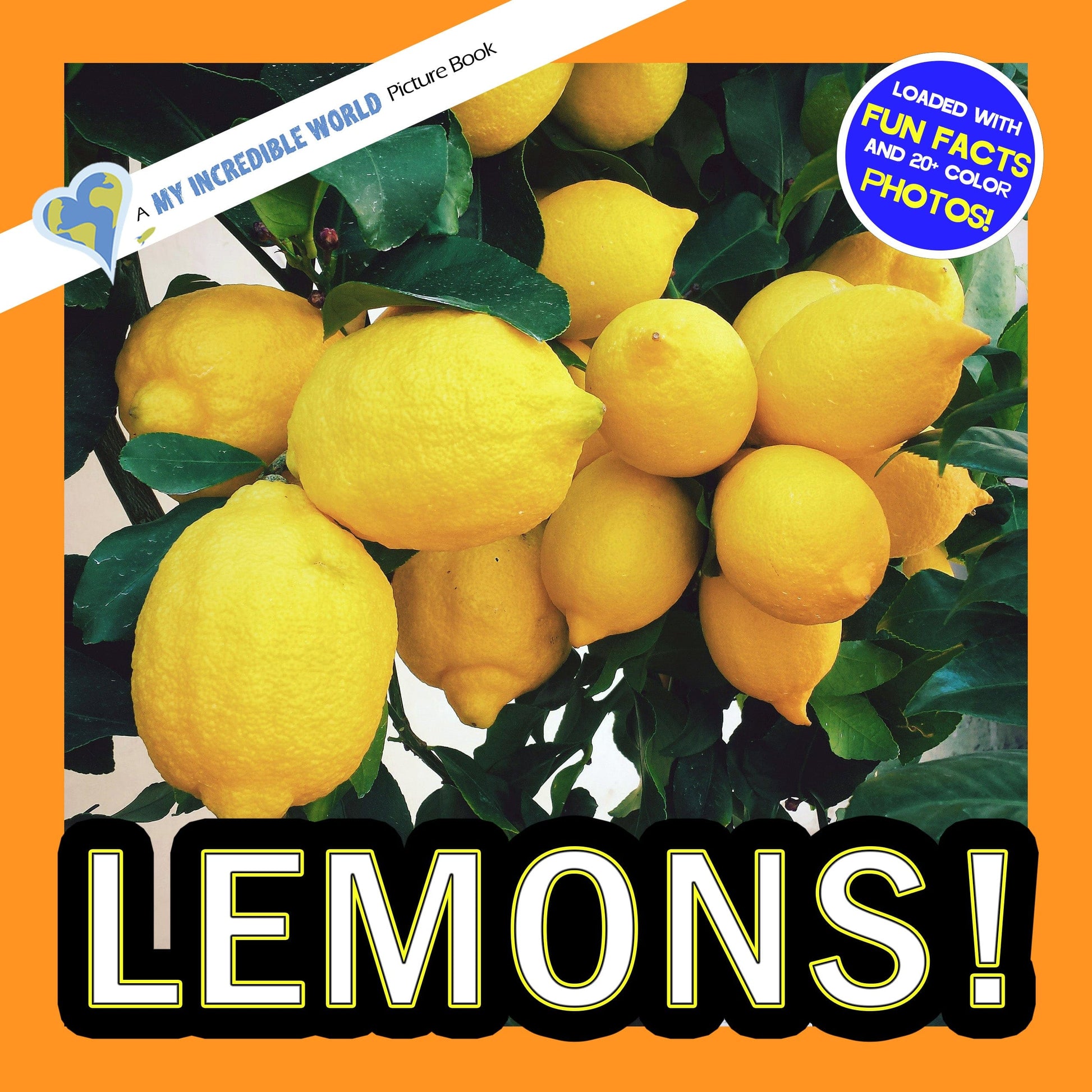 Lemons! A My Incredible World Picture Book for Children