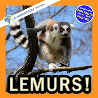 Lemurs! A My Incredible World Picture Book for Children