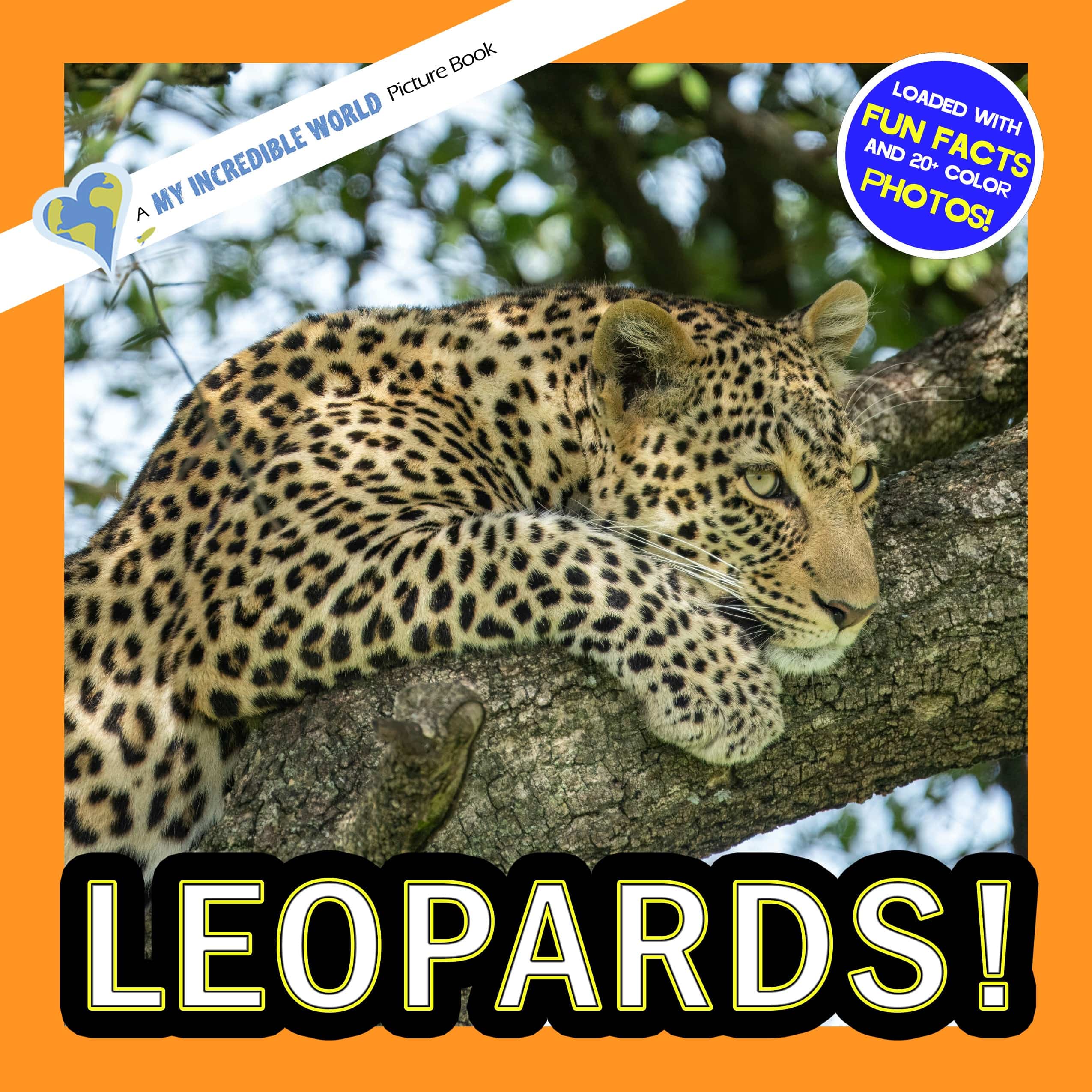 Leopards! A My Incredible World Picture Book for Children