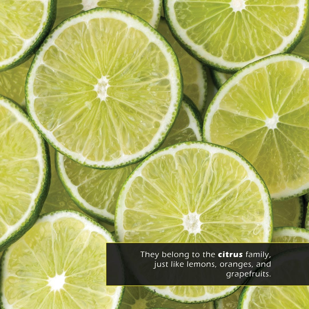 Limes! A My Incredible World Picture Book for Children